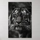 Recherche de tiger art Animaux