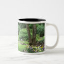 Recherche de vancouver tasses Île de vancouver