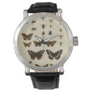 Recherche de insecte montres Animaux