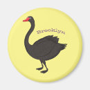 Recherche de cygnes magnets Cygne noir