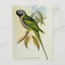 Recherche de 1850 cartes postales John