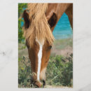 Recherche de chevaux prospectus Animal