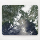 Recherche de pollution tapis souris Marée noire