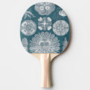 Recherche de méduse raquettes ping pong Vie marine