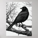 Recherche de arbre noir et blanc posters Branche d'arbre