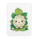 Recherche de chou magnets Chaudière