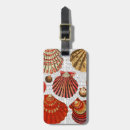 Recherche de coquilles bagages étiquettes Steampunk
