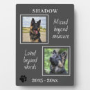Recherche de photo animaux mémoriaux Dogs