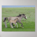 Recherche de cheval espagnol art Équin