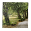 Recherche de campagne carreaux Automne