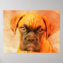 Recherche de boxer dog posters Animal