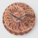 Recherche de nautilus horloges Coquille de nautilus