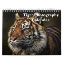 Recherche de tiger photographie Sauvage