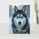 Recherche de visage de loup vœux cartes Pour tous