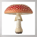 Recherche de champignon rouge posters Nature