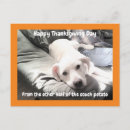 Recherche de chiot de vacances cartes postales Adorable