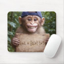 Recherche de chimpanzé électronique Singe
