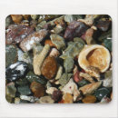 Recherche de coquilles tapis souris Tropical