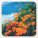 Recherche de coquelicot dessous de verres Botanique