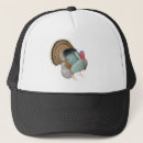 Recherche de dinde casquettes Volaille