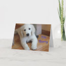 Recherche de golden retriever vœux cartes Chien mignon