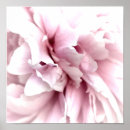 Recherche de macro art Gros plan
