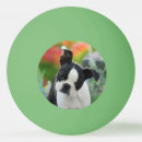 Recherche de chiot balles ping pong Drôle