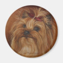 Recherche de yorkshire terrier magnets Réfrigérateur