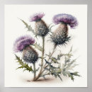 Recherche de chardon de art Pour tous