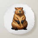 Recherche de rongeur coussins Mignon