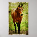 Recherche de cheval drôle posters Angle