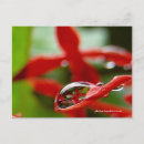 Recherche de gouttes de pluie cartes postales Feuille