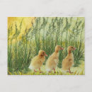 Recherche de easter chick cartes postales Chicks