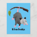 Recherche de opossum cartes postales Mignon