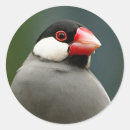 Recherche de finition autocollants Faune