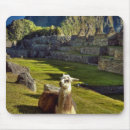 Recherche de picchu machu tapis souris Extérieur