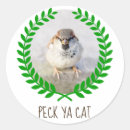 Recherche de cool cat autocollants Drôle