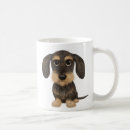 Recherche de teckel mignon tasses Chien