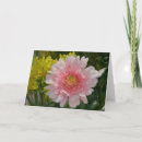 Recherche de gerber rose vœux cartes Gerbera daisy
