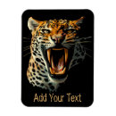 Recherche de jaguar refrigérateur magnets Animaux