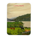 Recherche de bovin magnets Bétail