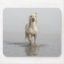Recherche de cheval camargue tapis souris Étalon