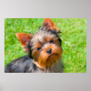 Recherche de danita delimont posters Black