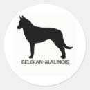 Recherche de malinois autocollants Chien
