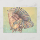 Recherche de coquilles de conque cartes postales Océan
