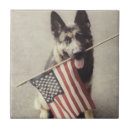 Recherche de berger allemand carreaux Chien