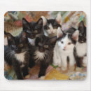 Recherche de chat smoking tapis souris Chaton
