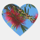 Recherche de fleurs australiennes autocollants Floral
