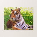 Recherche de bengale puzzles Gros chat