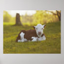 Recherche de plans rapprochés posters Paysage